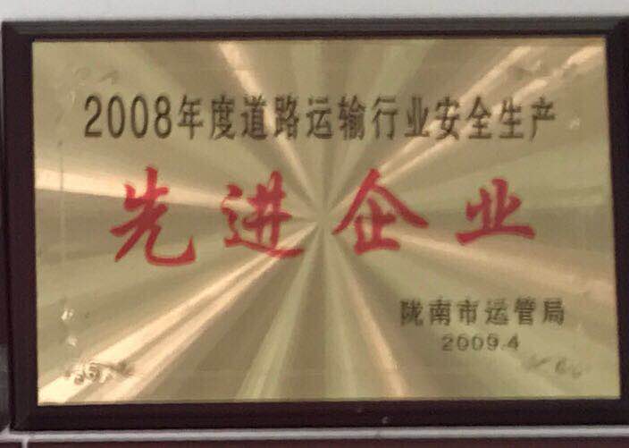 2008年度道路運輸安全生產(chǎn)先進(jìn)企業(yè)